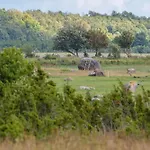 Holiday home Anne's